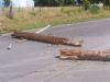 Storm August 2006 photo 6